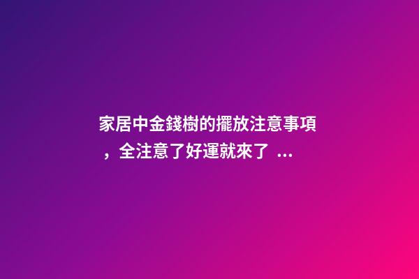 家居中金錢樹的擺放注意事項，全注意了好運就來了！